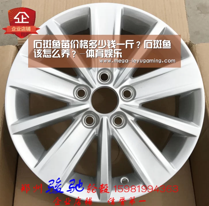 石斑鱼苗价格多少钱一斤?石斑鱼该怎么养?-体育娱乐(图2) 乐鱼平台