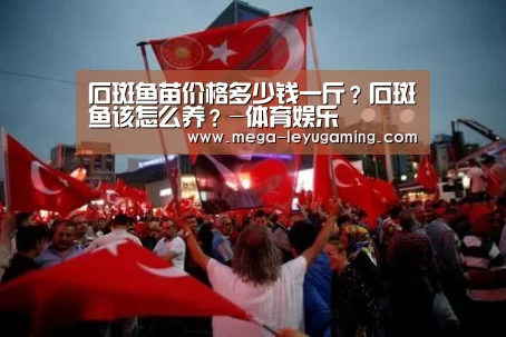 石斑鱼苗价格多少钱一斤?石斑鱼该怎么养?-体育娱乐(图3) 石斑鱼苗价格多少钱一斤?石斑鱼该怎么养?-体育娱乐(图3)