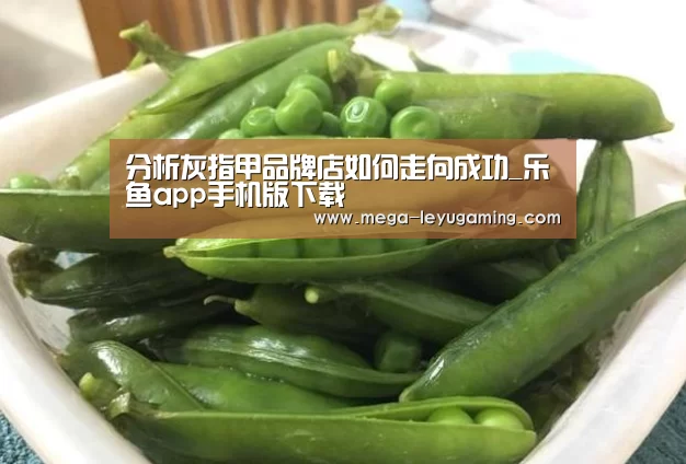分析灰指甲品牌店如何走向成功_乐鱼app手机版下载(图2) 分析灰指甲品牌店如何走向成功_乐鱼app手机版下载(图2)