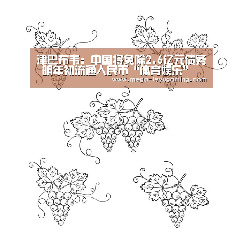 津巴布韦:中国将免除2.6亿元债务 明年初流通人民币“体育娱乐”(图1) 乐鱼平台