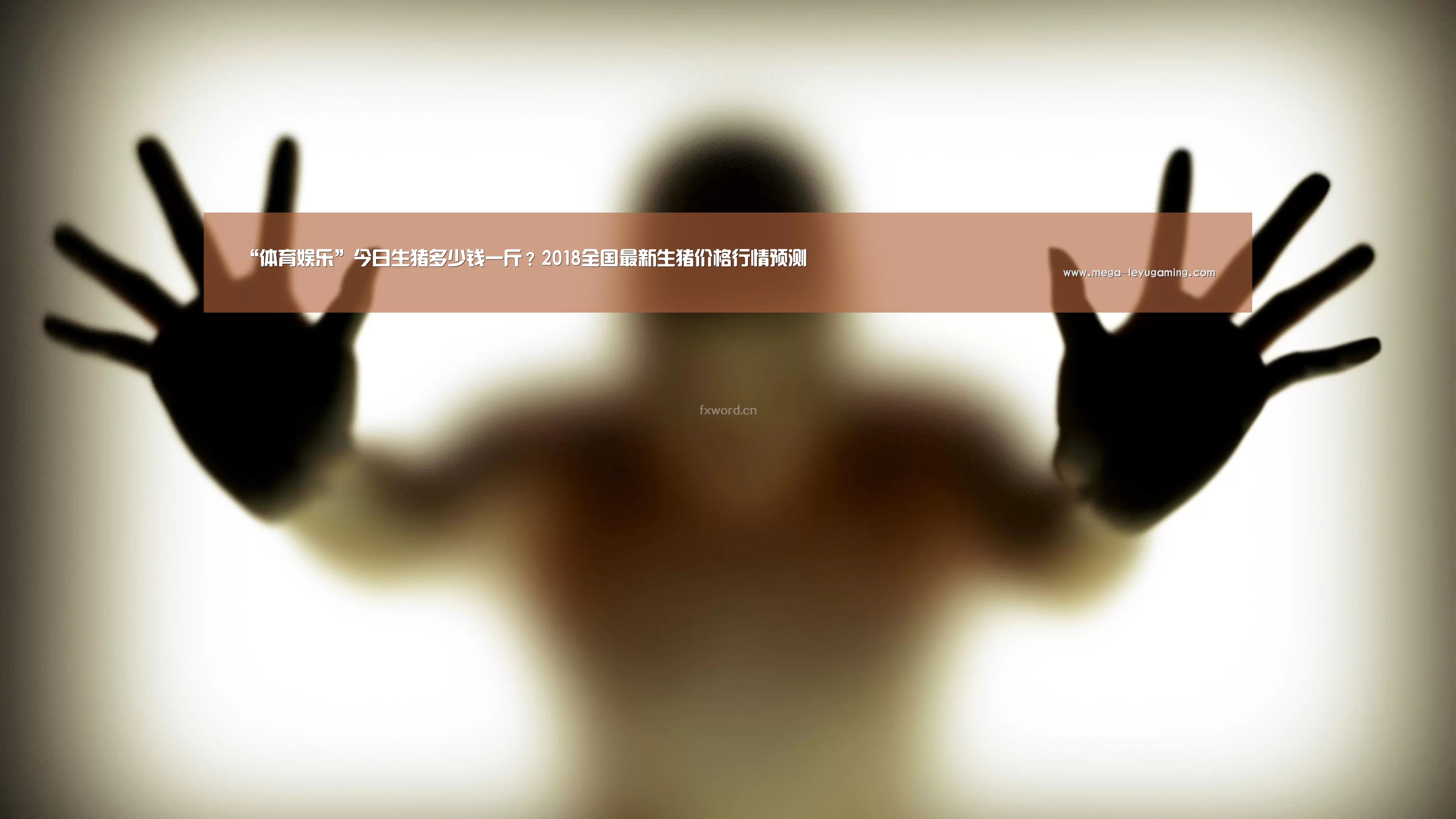 乐鱼平台