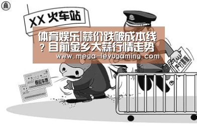乐鱼app手机版下载