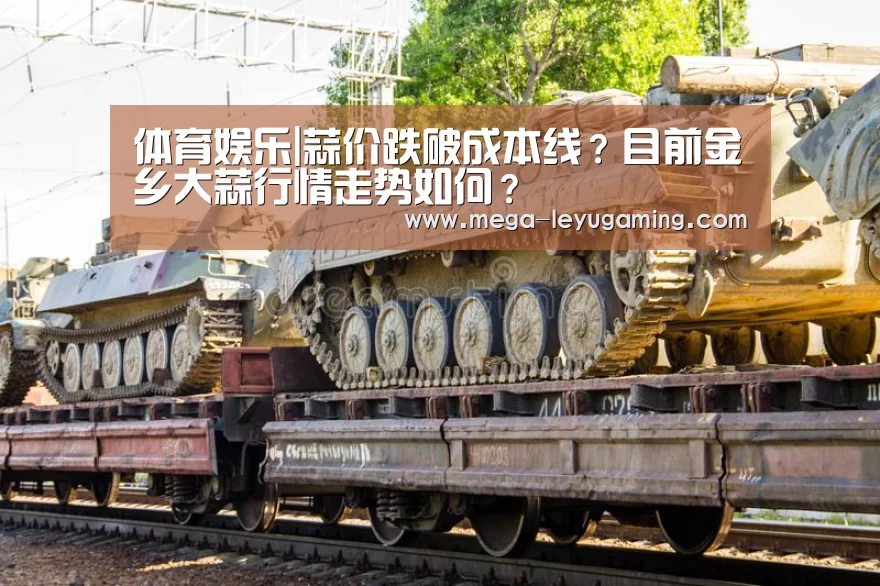 体育娱乐