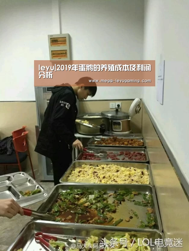leyu|2019年蛋鹅的养殖成本及利润分析(图1)
