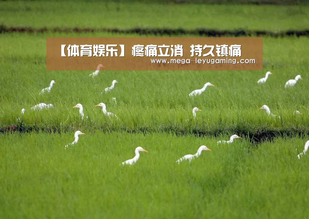 【体育娱乐】疼痛立消 持久镇痛(图1) 乐鱼平台