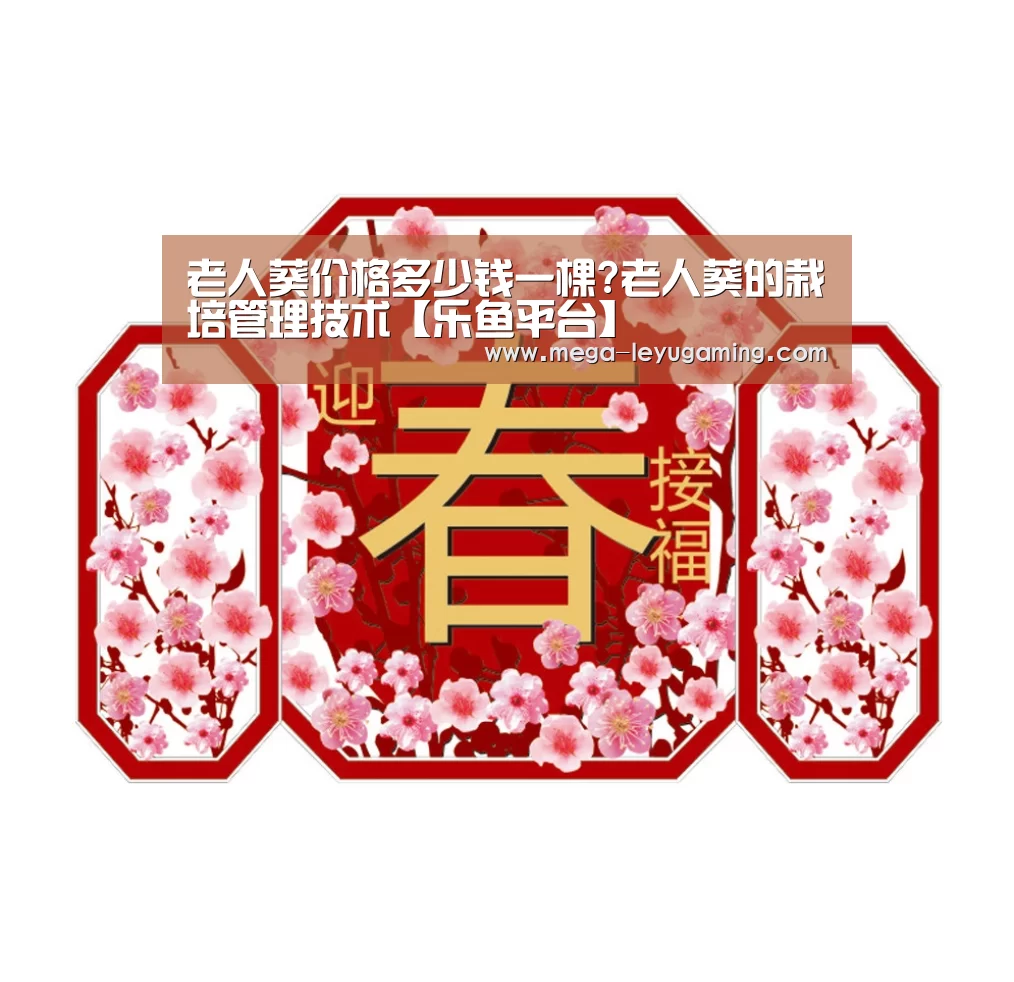 老人葵价格多少钱一棵?老人葵的栽培管理技术【乐鱼平台】(图4) 老人葵价格多少钱一棵?老人葵的栽培管理技术【乐鱼平台】(图4)