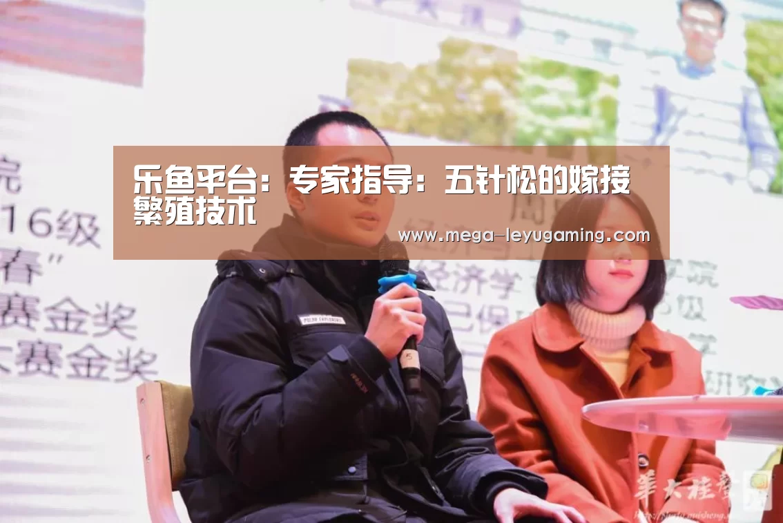 乐鱼平台:专家指导:五针松的嫁接繁殖技术(图4) 体育娱乐