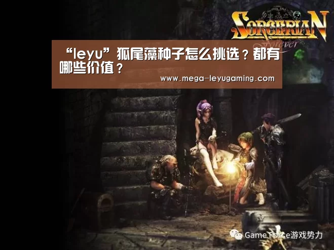“leyu”狐尾藻种子怎么挑选?都有哪些价值?(图1) “leyu”狐尾藻种子怎么挑选?都有哪些价值?(图1)