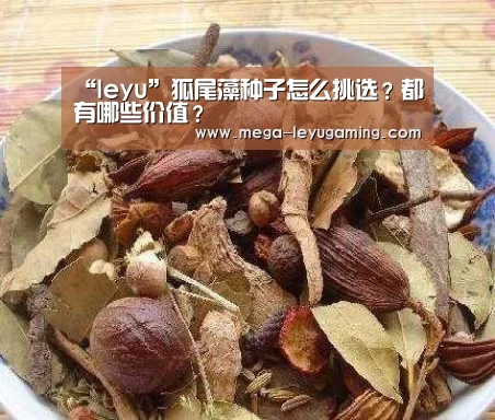 “leyu”狐尾藻种子怎么挑选?都有哪些价值?(图3) “leyu”狐尾藻种子怎么挑选?都有哪些价值?(图3)