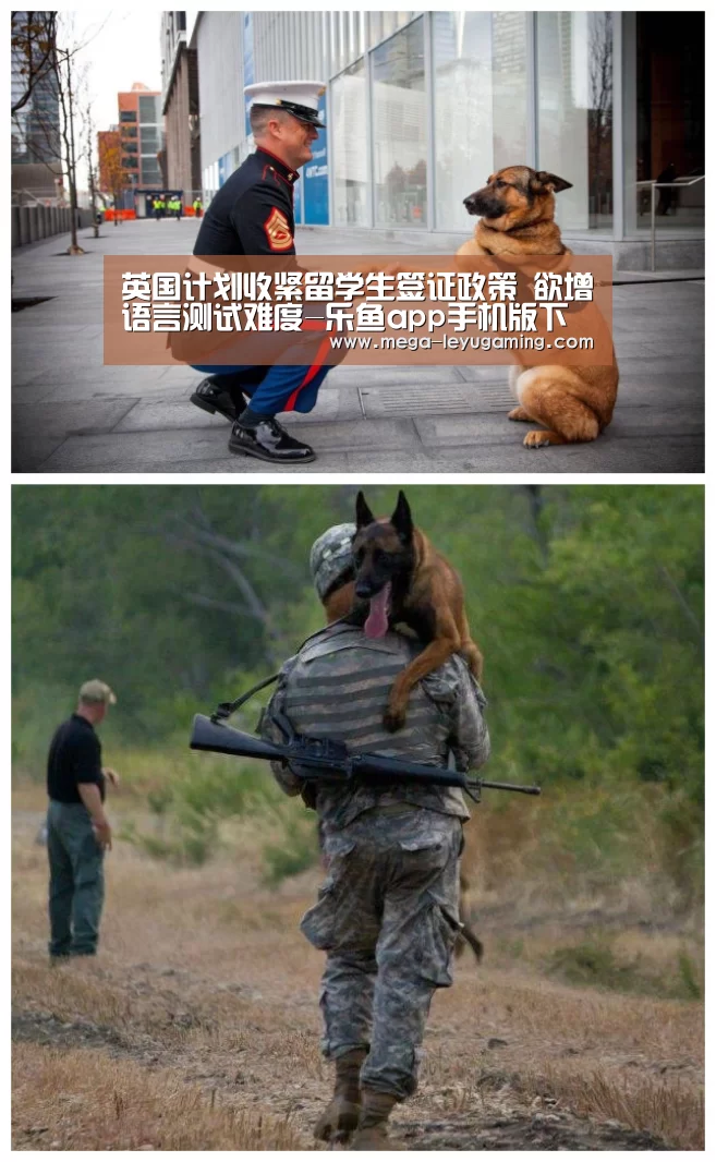 英国计划收紧留学生签证政策 欲增语言测试难度-乐鱼app手机版下载(图4) 乐鱼平台