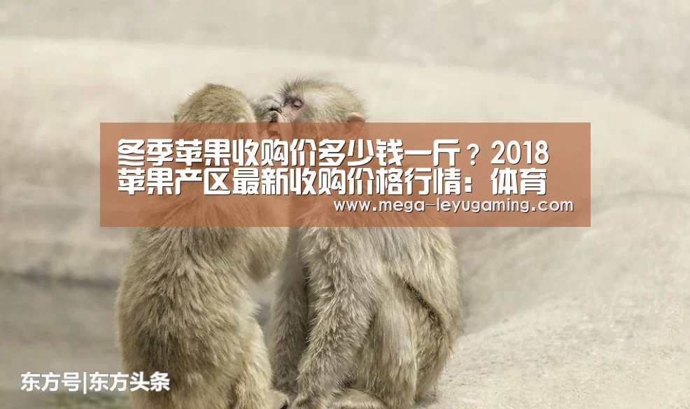 冬季苹果收购价多少钱一斤?2018苹果产区最新收购价格行情:体育娱乐(图4) 体育娱乐